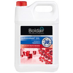 Lot de 2 bidons BOLDAIR surodorant 3D 5L délices fruits rouges