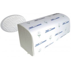 Carton de 25 paquets essuies mains pliés en m blanc Ecolabel 2p 125f
