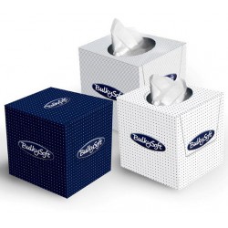 Carton de 24 boites cubiques de 90 mouchoirs Bulky 2p blanc