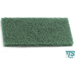 Tampon vert Terfir abrasifs nylon et polyester 25x12x2 cm