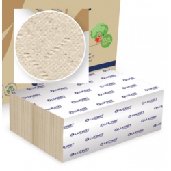 Colis de 15 paquets d'essuie-mains Econatural 2 plis en Z 200 f Ecolabel