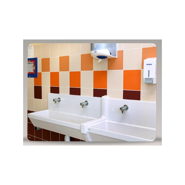 Miroir de sanitaire incassable Plexichok 600x800 mm
