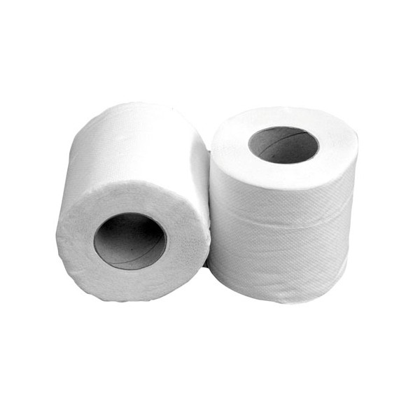 Rouleau Papier Toilette Professionnel 2 épaisseurs ECOLABEL